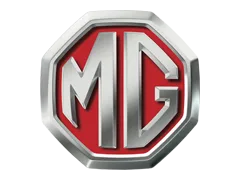 Historique Mg : documents et vérifications